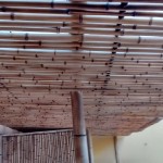 cobertura com bambu cana da índia tratada